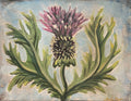 Scottish Thistle Painting Kit