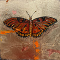 Gulf Fritillary butterfly