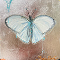 White Sulphur Butterfly