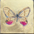 Glasswing Butterfly in Pink