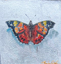 Painted lady Butterfly