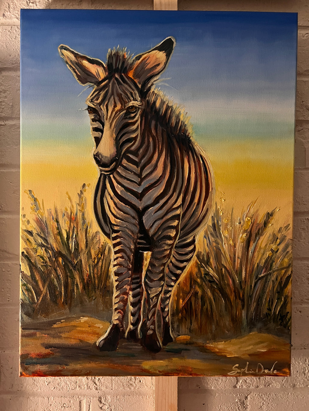 Zebra at Golden Hour