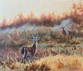 White-Tailed Golden Field