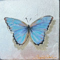 Blue Morpho Butterfly on Silver