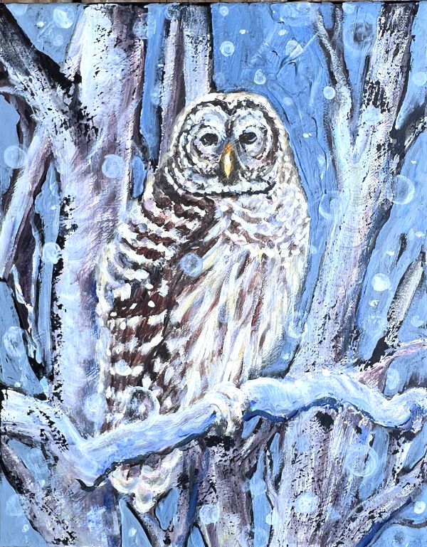 Winter Owl on Blue