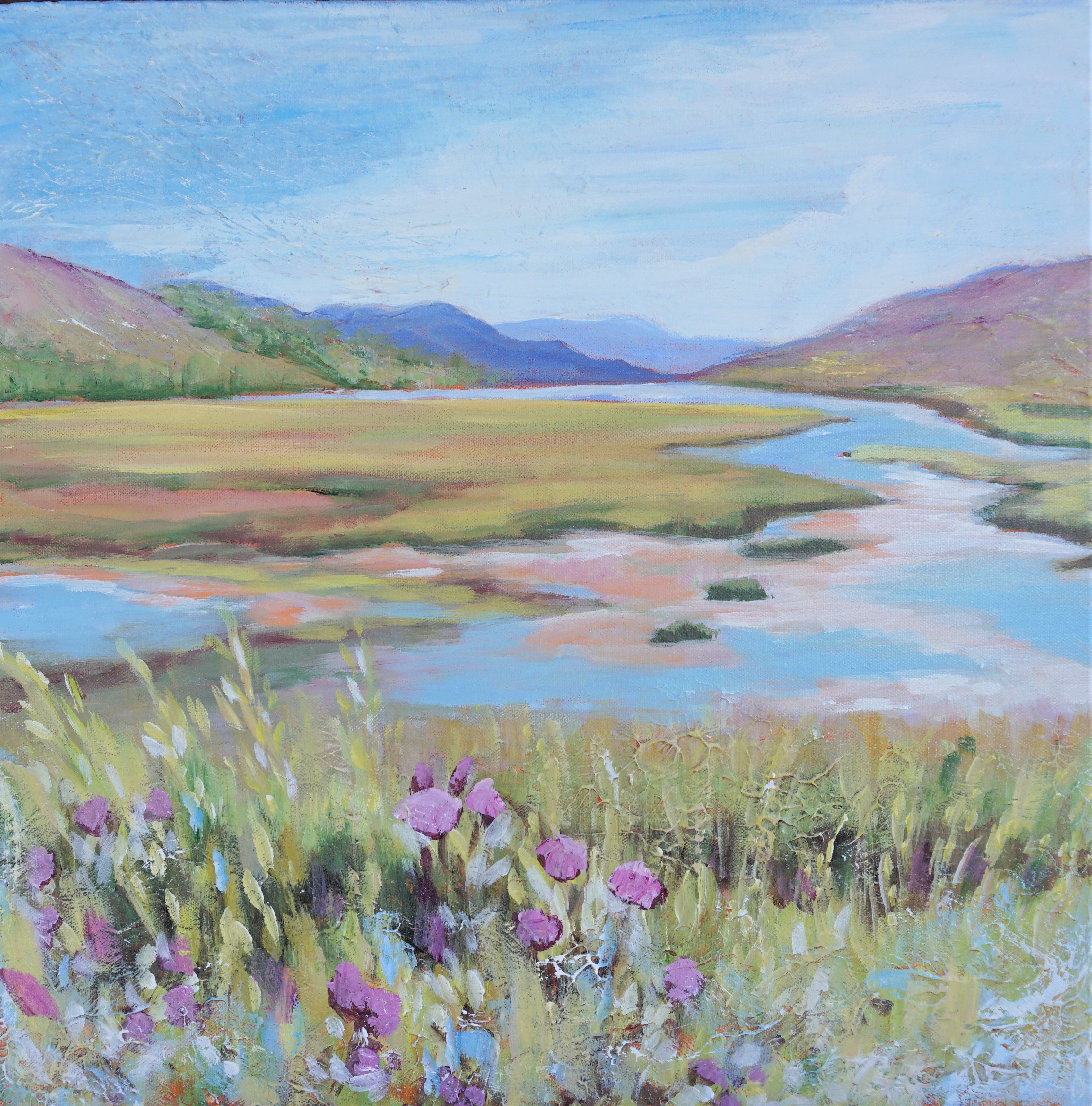 Roadside near Plockton